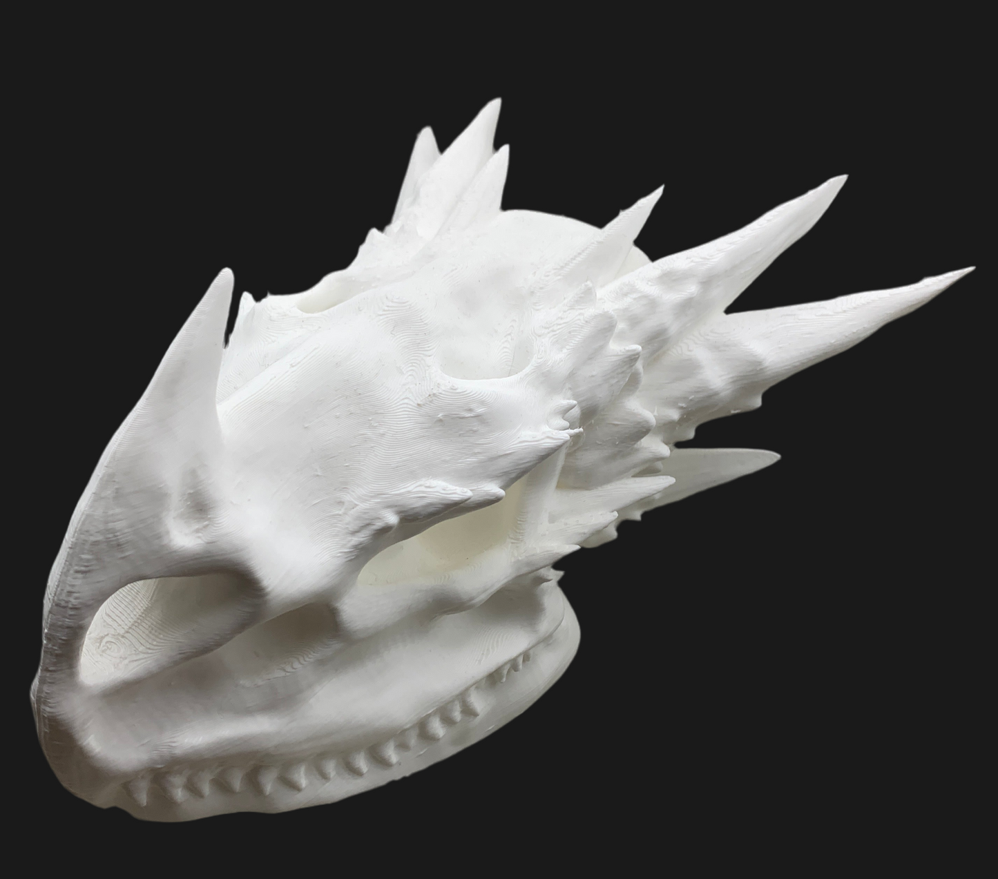 Small Dragon Skull