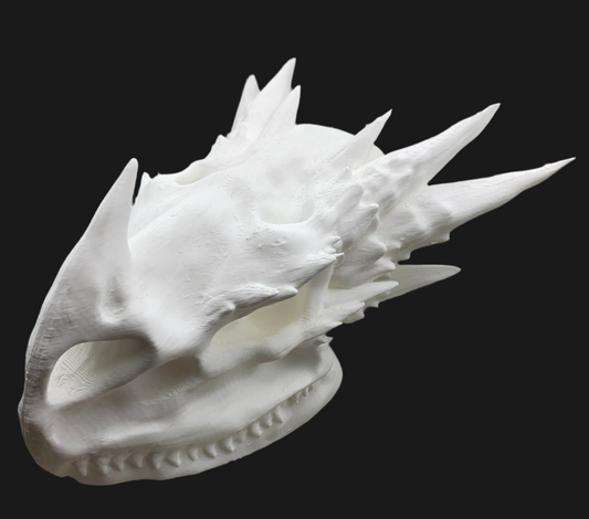 Large Dragon Skull