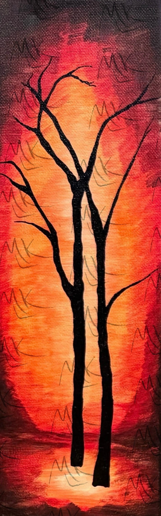 Bright Lights in the Woods